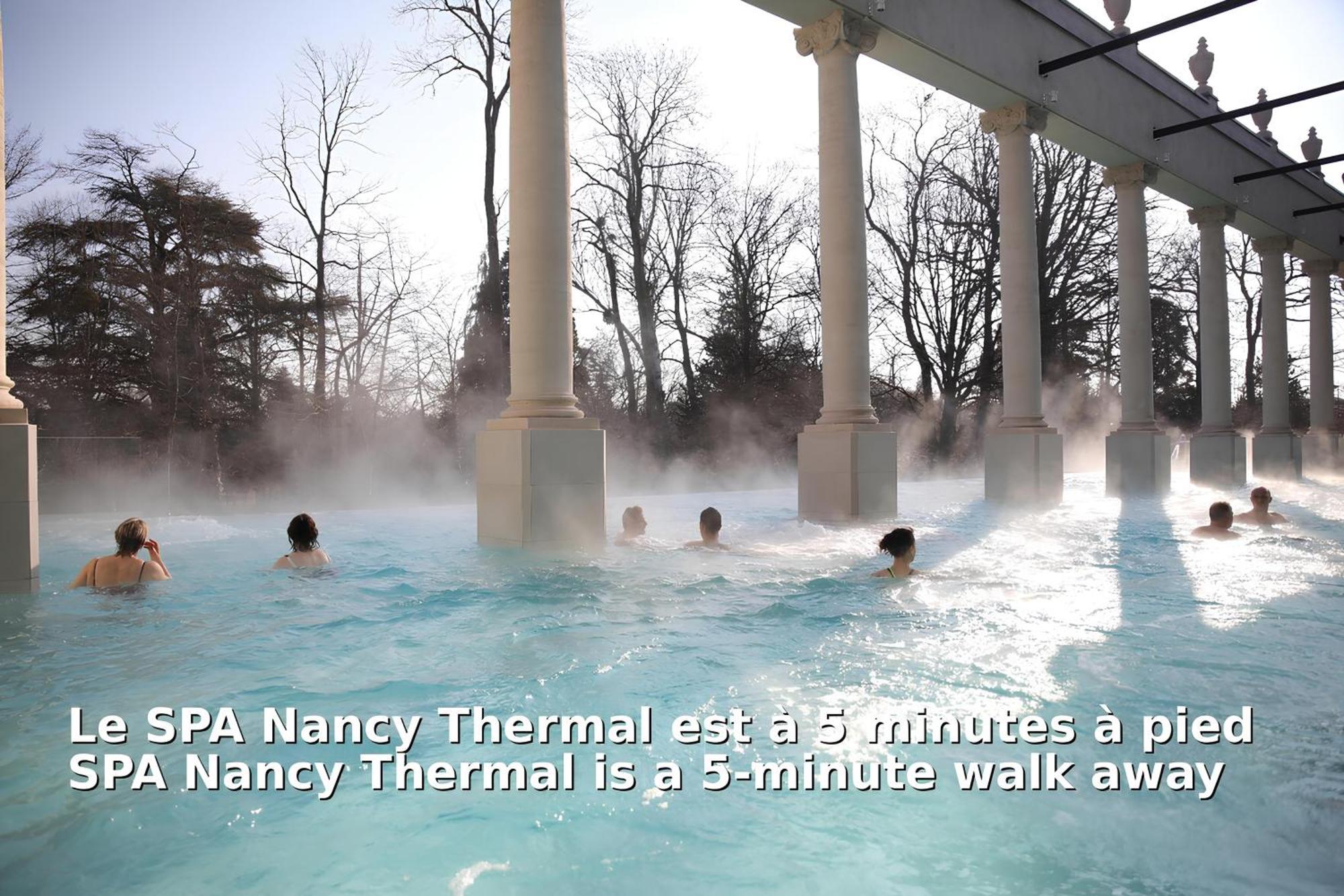 Apartment Nancy Ville *